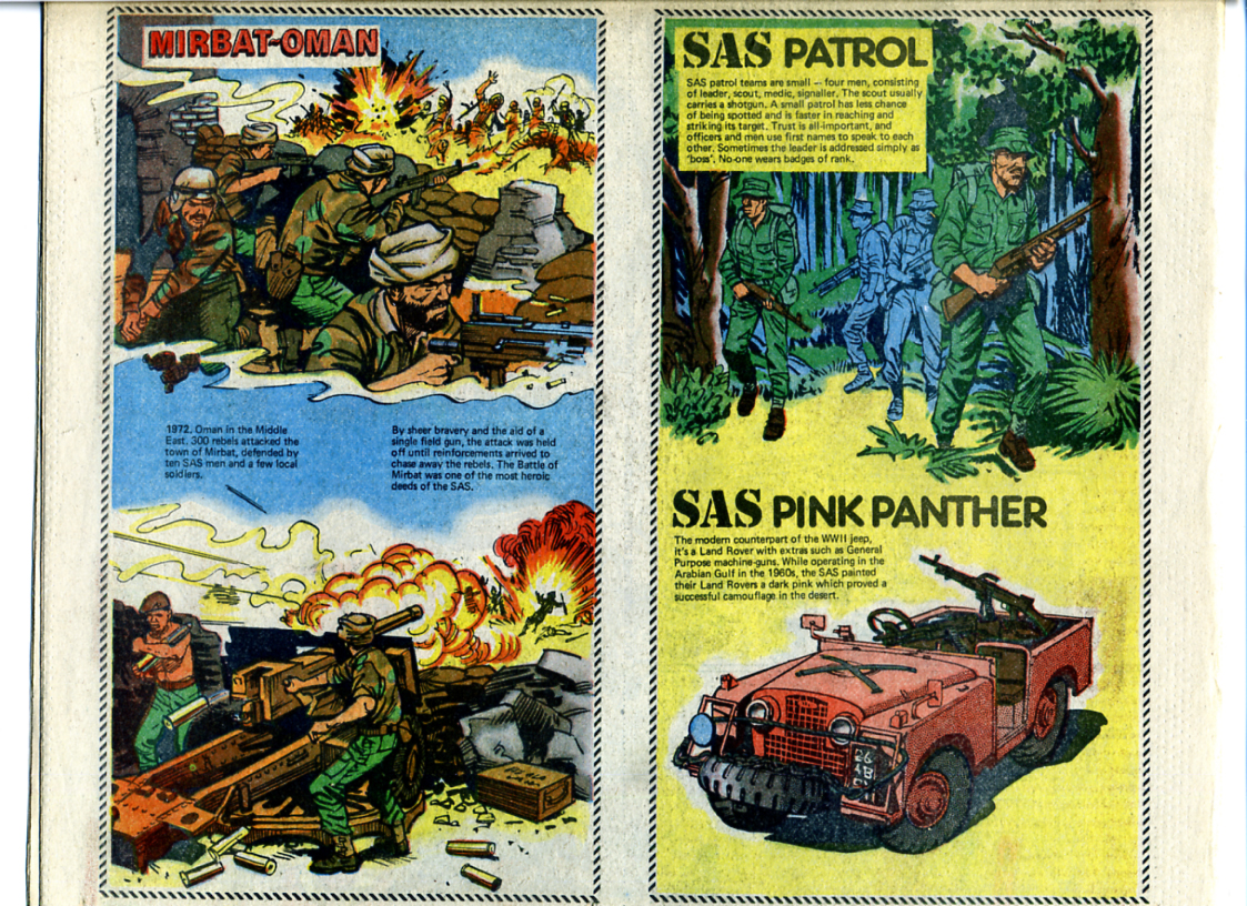 sas05.jpg