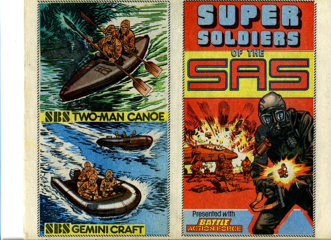 sas01.jpg