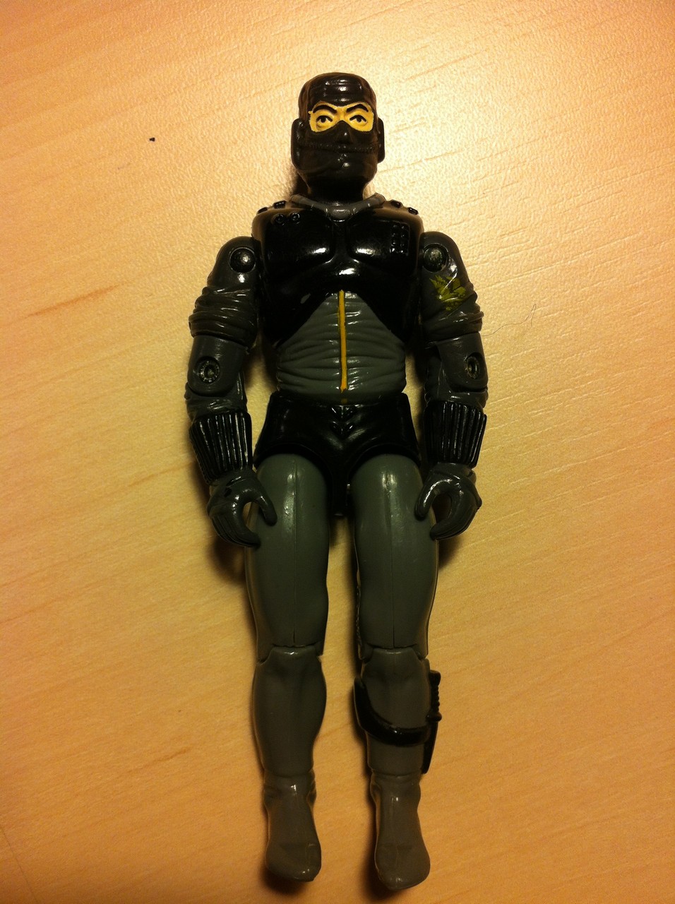 cobra_pilot1.jpg
