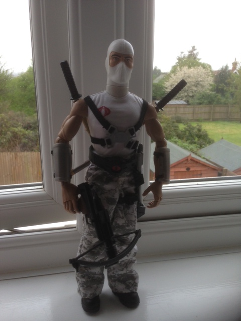 12&quot; Storm Shadow £20 inc P+P