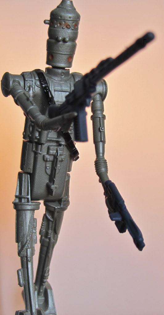 Iggy.jpg