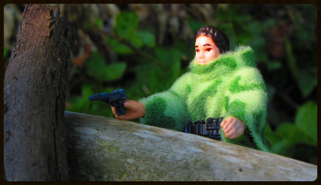 Leia.jpg