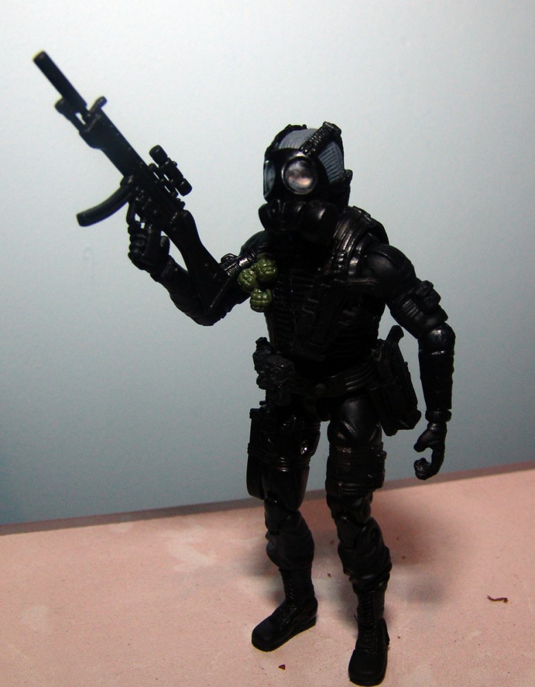sas3.jpg
