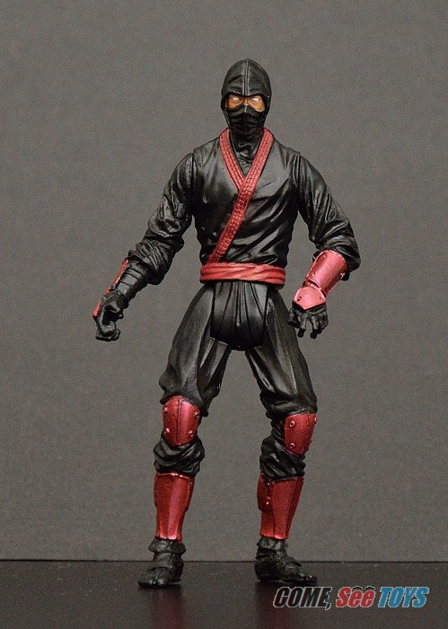 Ninja.jpg
