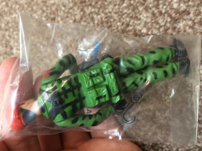 image.jpeg