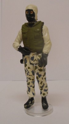 S.A.S. Artic Eagle Front.JPG