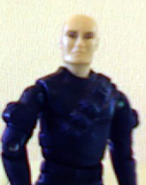 hawk.jpg