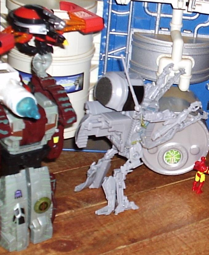 14.JPG