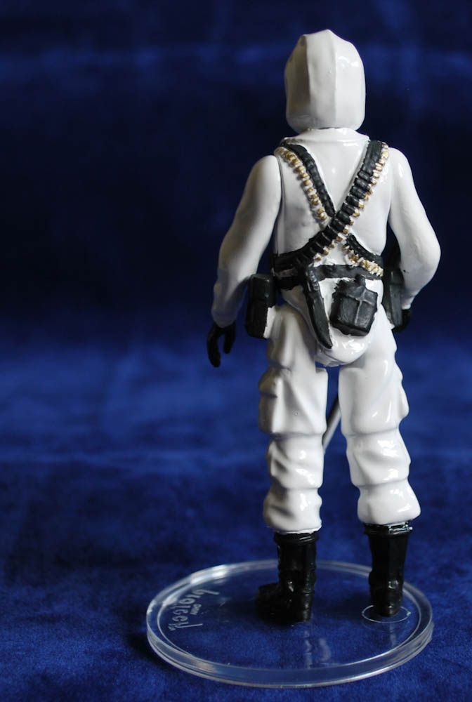 Arctic SAS Part II (4 of 7).jpg