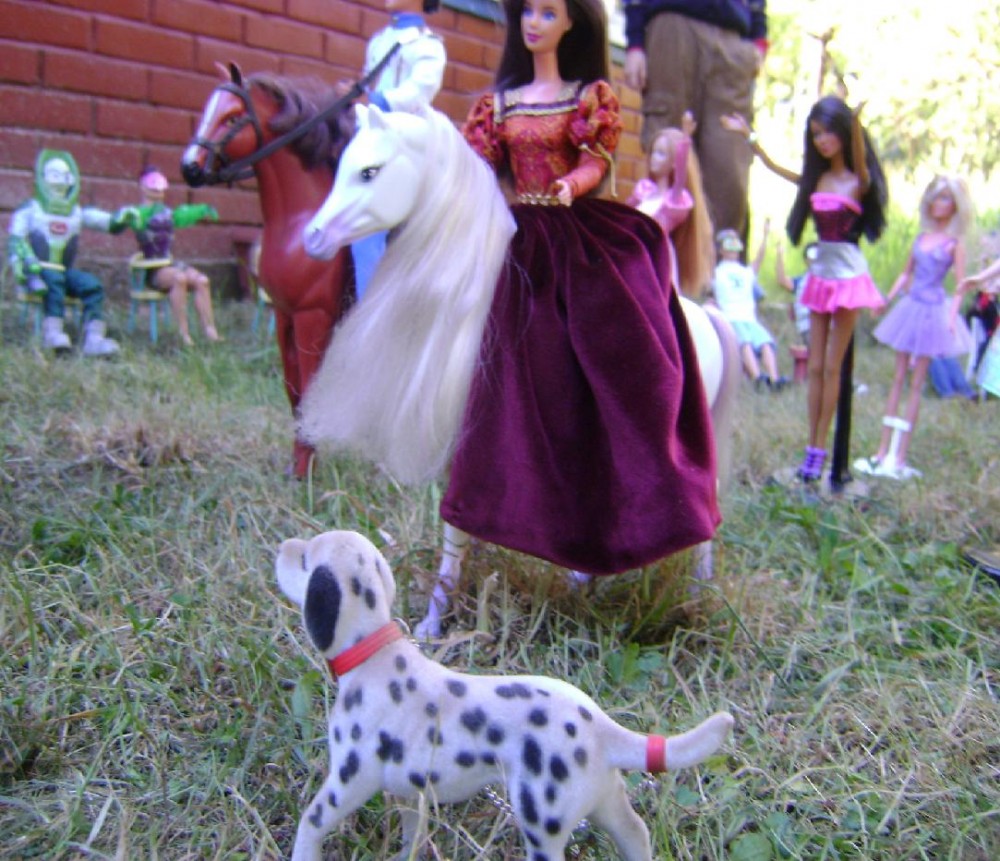 DSC05320.JPG