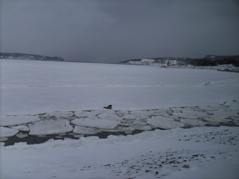 HPIM0196.JPG