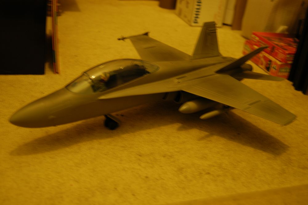 DSC_0002.JPG