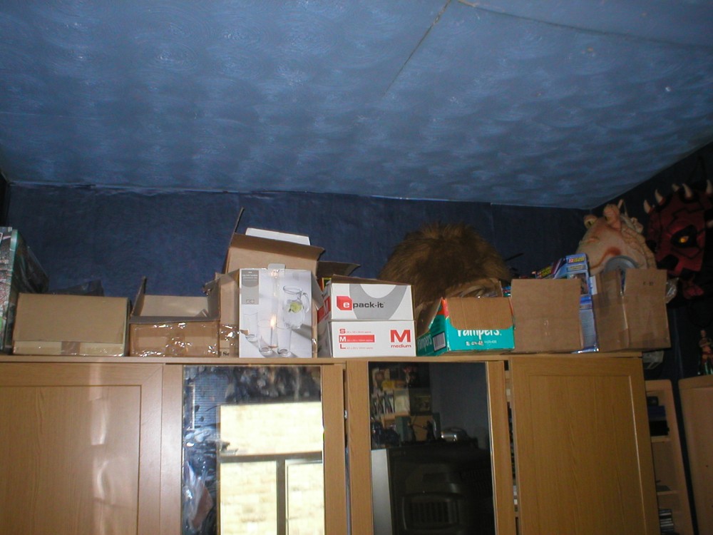 attic updates 020.JPG
