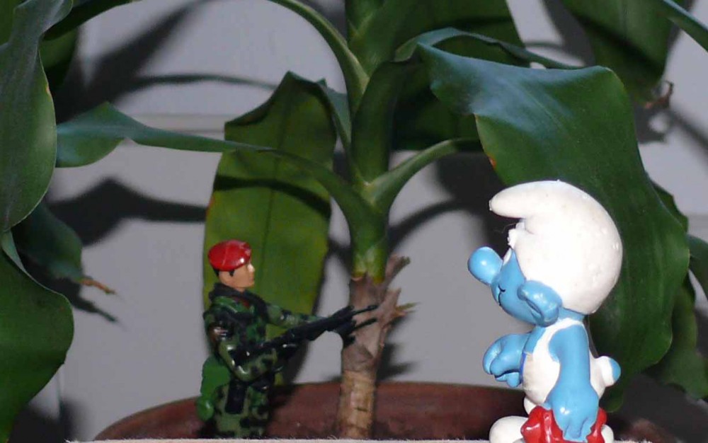 Avatar.jpg